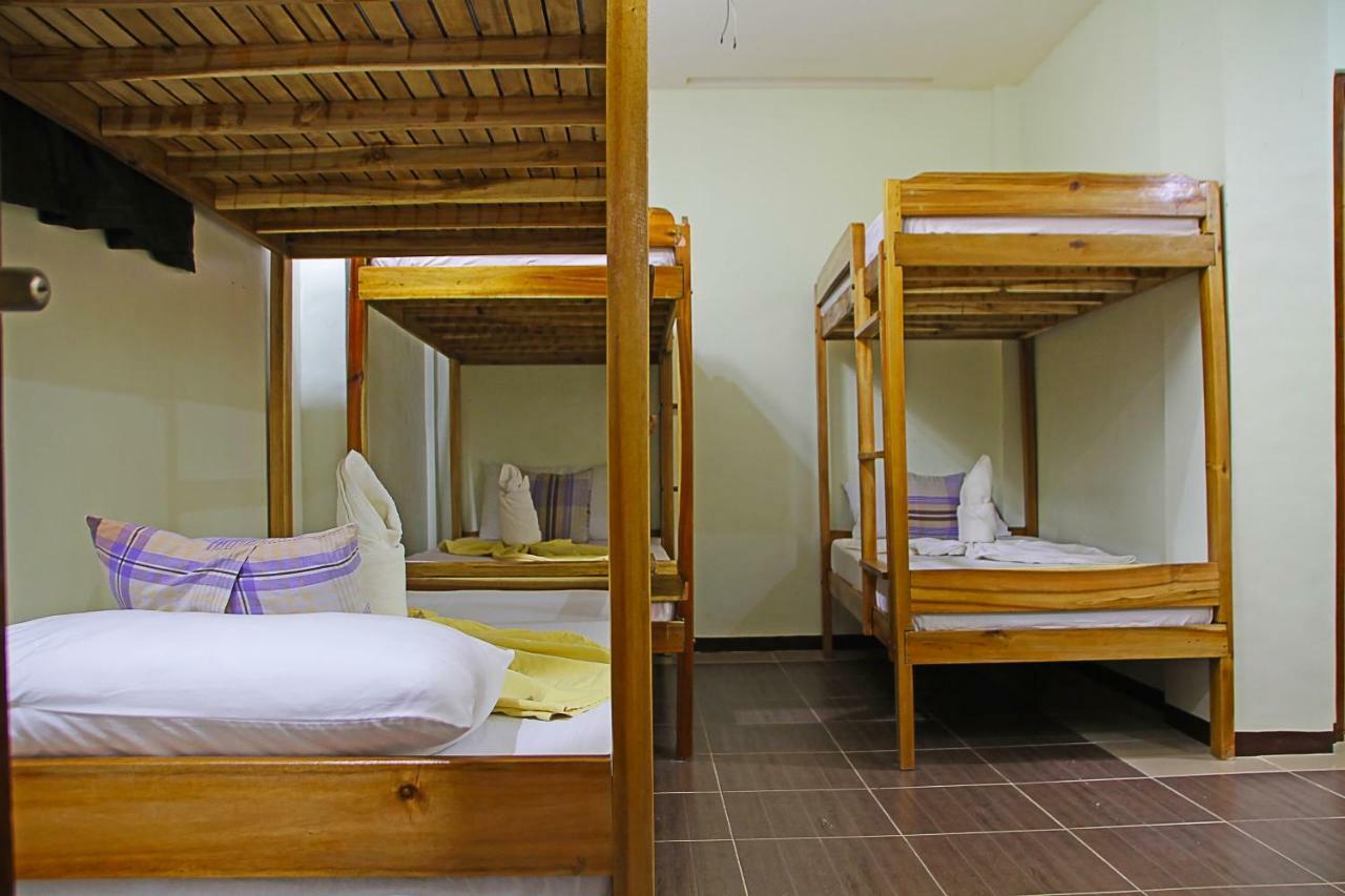 bahay-panuluyan Seaslugs Travellers